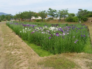 rimg00233