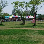 dscf0141 dscf0141