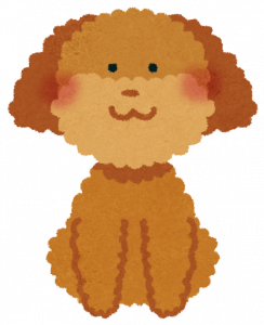 toy_poodle2